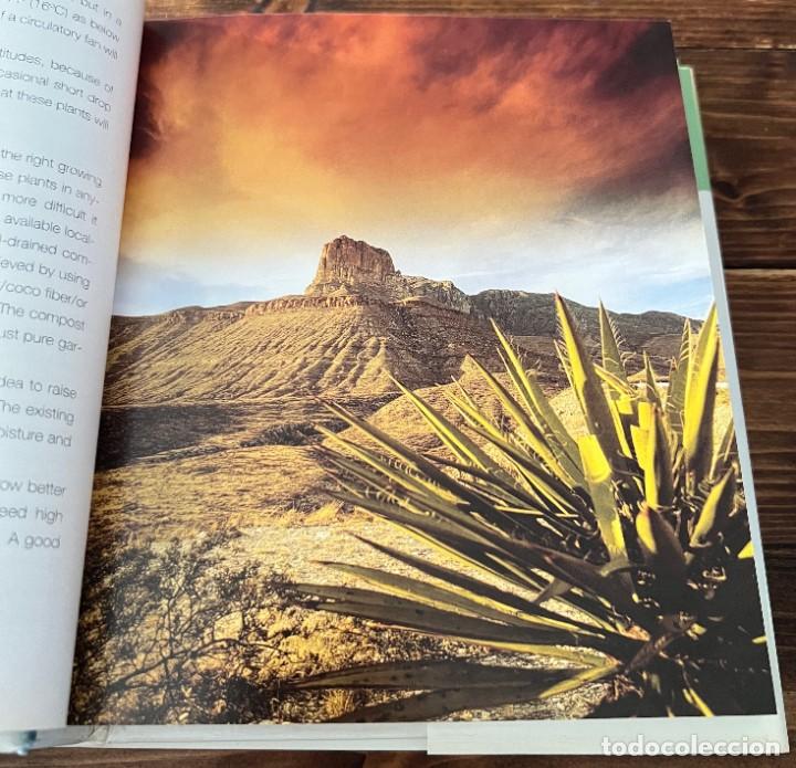 Libros de segunda mano: A Pocket guide to Cacti and Succulents - Terry Hewitt - Foto 10