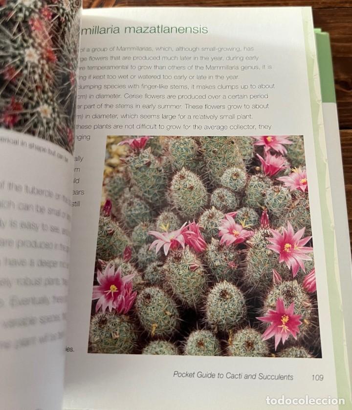 Libros de segunda mano: A Pocket guide to Cacti and Succulents - Terry Hewitt - Foto 11