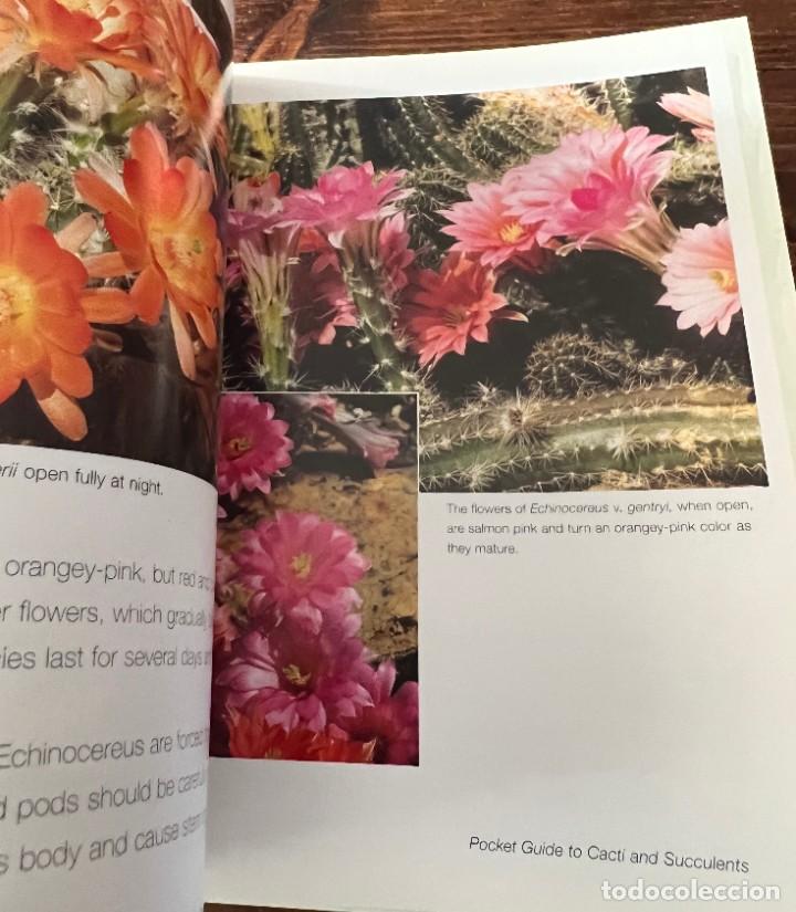Libros de segunda mano: A Pocket guide to Cacti and Succulents - Terry Hewitt - Foto 13