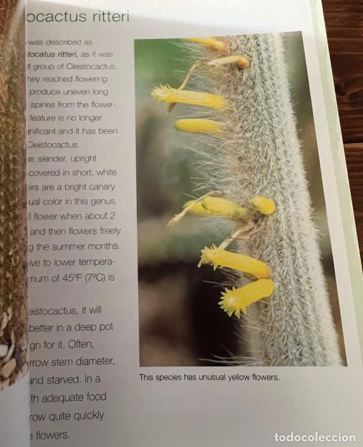 Libros de segunda mano: A Pocket guide to Cacti and Succulents - Terry Hewitt - Foto 14