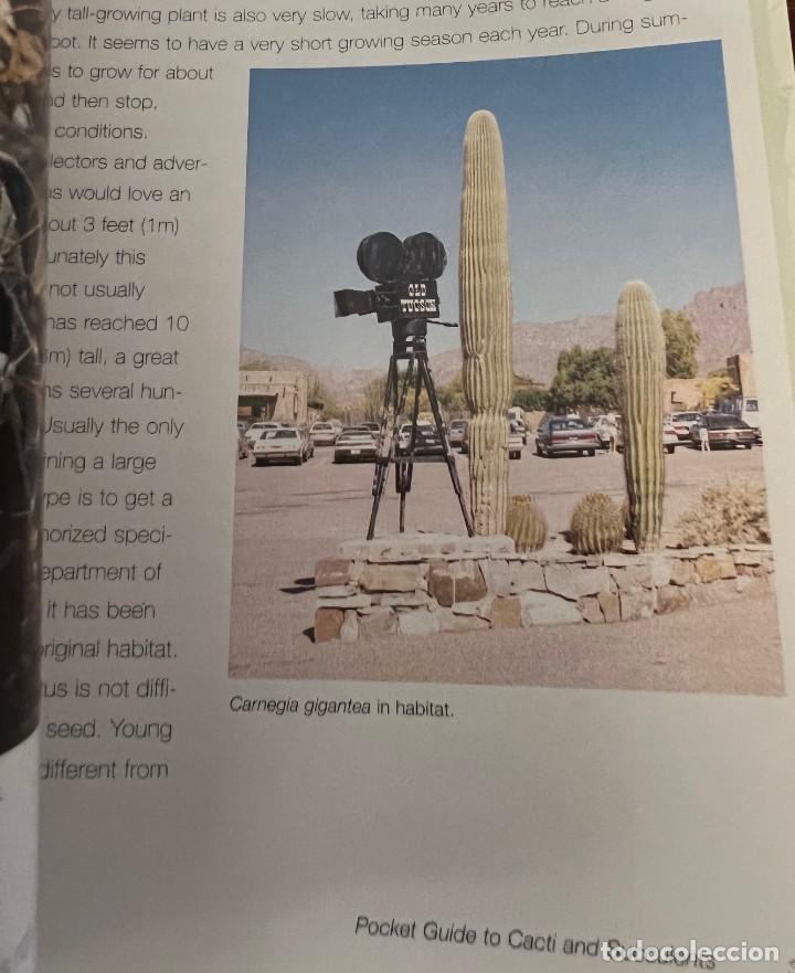 Libros de segunda mano: A Pocket guide to Cacti and Succulents - Terry Hewitt - Foto 15