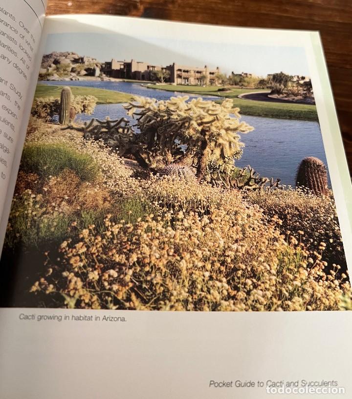 Libros de segunda mano: A Pocket guide to Cacti and Succulents - Terry Hewitt - Foto 16