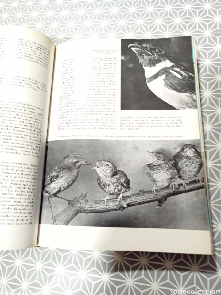 Libros de segunda mano: Los animales - Foto 2