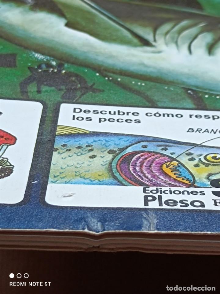 Libros de segunda mano: LIBRO PLESA COLECCI&Oacute;N EL JOVEN CIENT&Iacute;FICO - EL LIBRO DE LAS PROFUNDIDADES - Foto 4