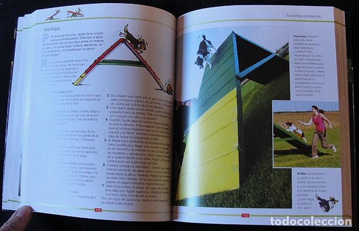 Libros de segunda mano: AGILITY ENTRENAR AL PERRO - MARY ANN NESTER - EDICIONES OMEGA, 2008 - - Foto 3