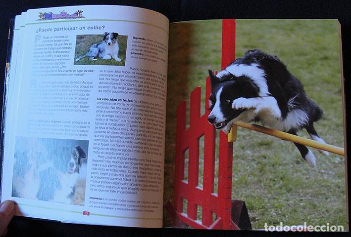 Libros de segunda mano: AGILITY ENTRENAR AL PERRO - MARY ANN NESTER - EDICIONES OMEGA, 2008 - - Foto 4