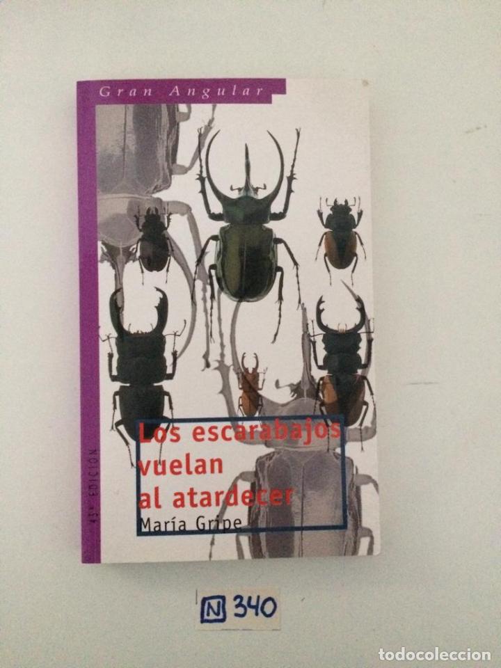 Libros de segunda mano: Los escarabajos vuelan al atardecer - Foto 1