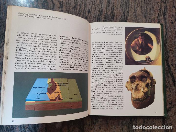 Libros de segunda mano: LIBRO EL ORIGEN DEL HOMBRE. SALVA 1975 - Foto 3