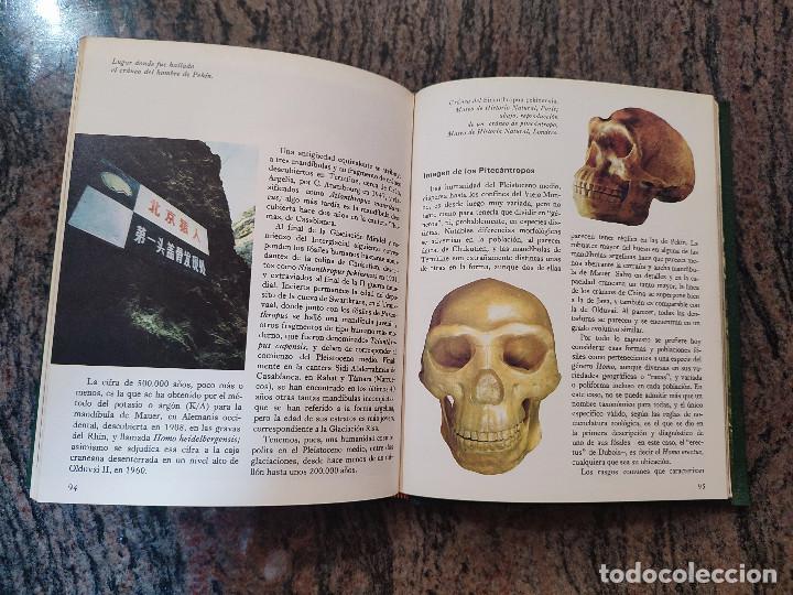 Libros de segunda mano: LIBRO EL ORIGEN DEL HOMBRE. SALVA 1975 - Foto 4