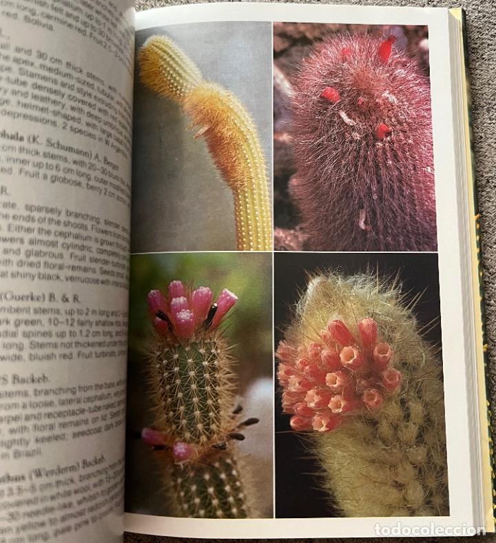 Libros de segunda mano: The Cactus Handbook - Erik Haustein - Foto 2
