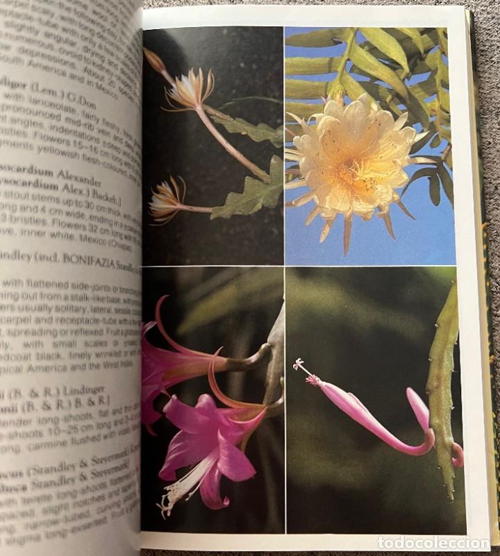 Libros de segunda mano: The Cactus Handbook - Erik Haustein - Foto 3