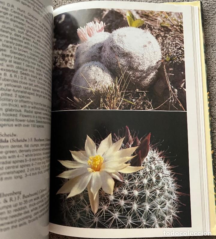 Libros de segunda mano: The Cactus Handbook - Erik Haustein - Foto 4
