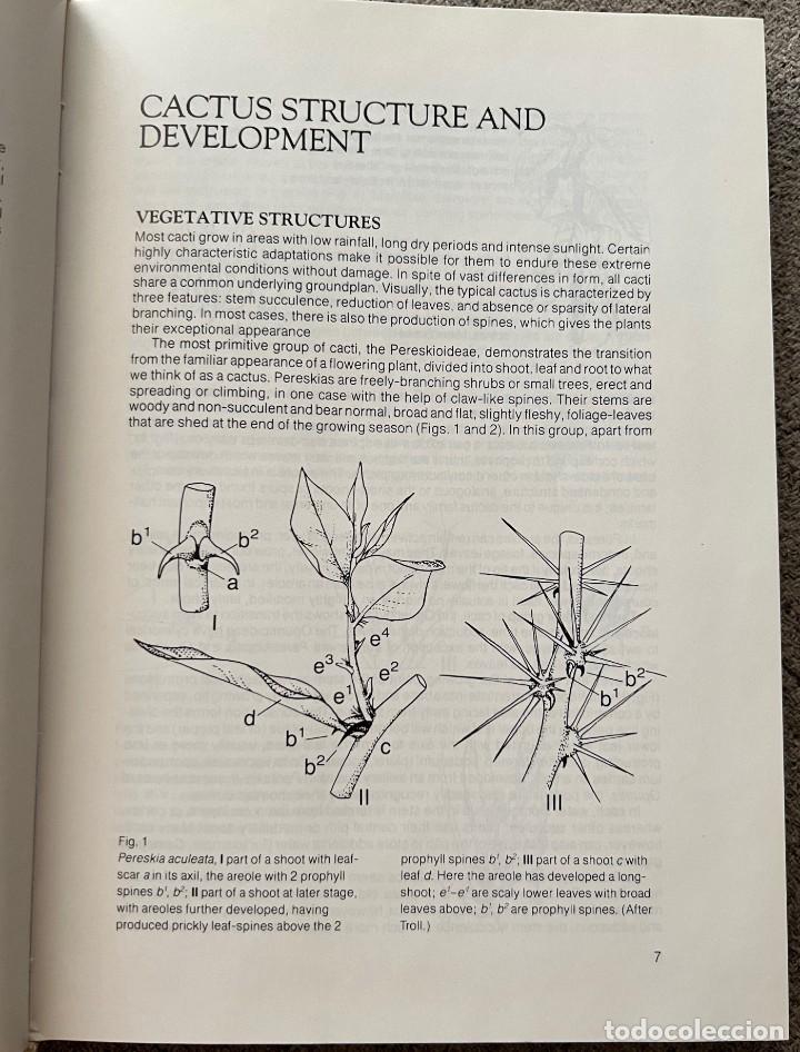Libros de segunda mano: The Cactus Handbook - Erik Haustein - Foto 8