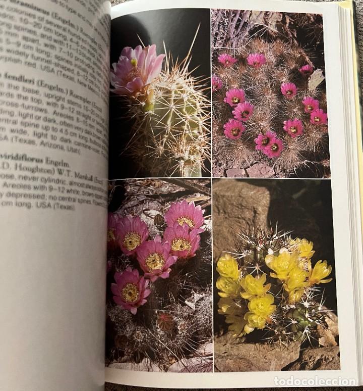 Libros de segunda mano: The Cactus Handbook - Erik Haustein - Foto 9