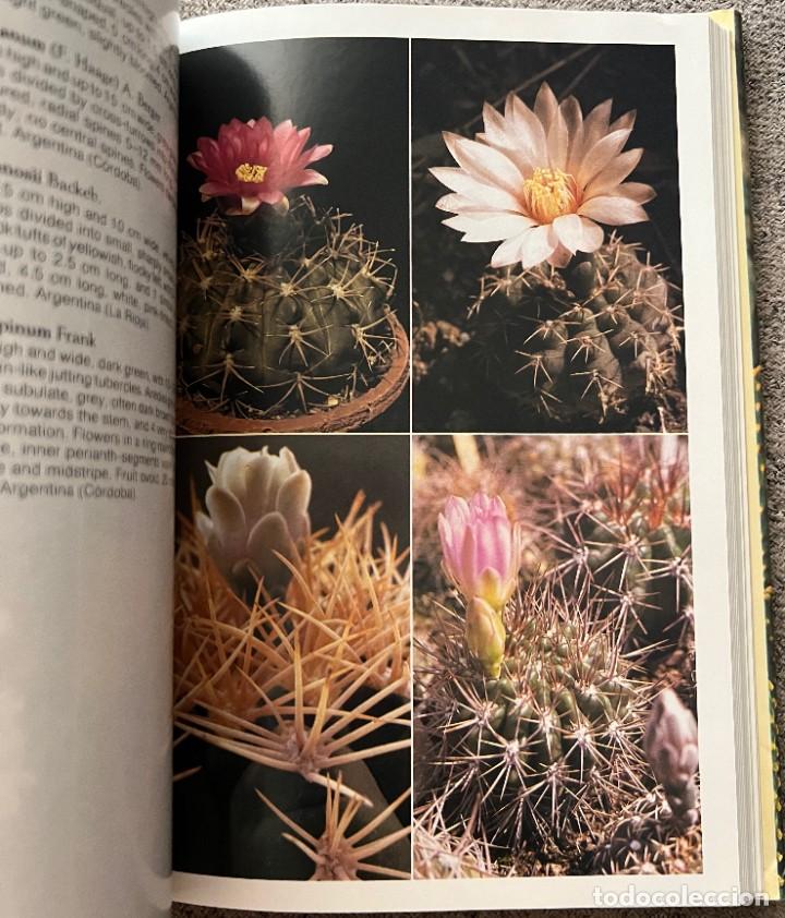 Libros de segunda mano: The Cactus Handbook - Erik Haustein - Foto 10