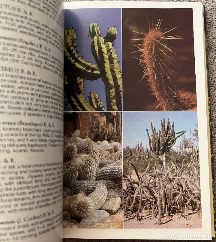 Libros de segunda mano: The Cactus Handbook - Erik Haustein - Foto 11