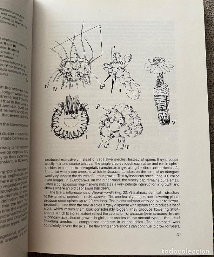 Libros de segunda mano: The Cactus Handbook - Erik Haustein - Foto 12
