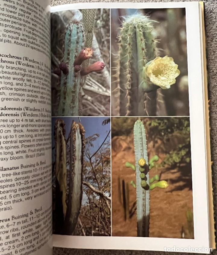 Libros de segunda mano: The Cactus Handbook - Erik Haustein - Foto 2