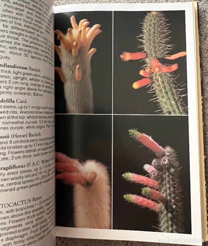 Libros de segunda mano: The Cactus Handbook - Erik Haustein - Foto 3