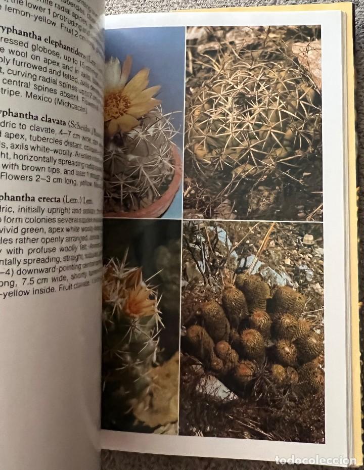 Libros de segunda mano: The Cactus Handbook - Erik Haustein - Foto 7
