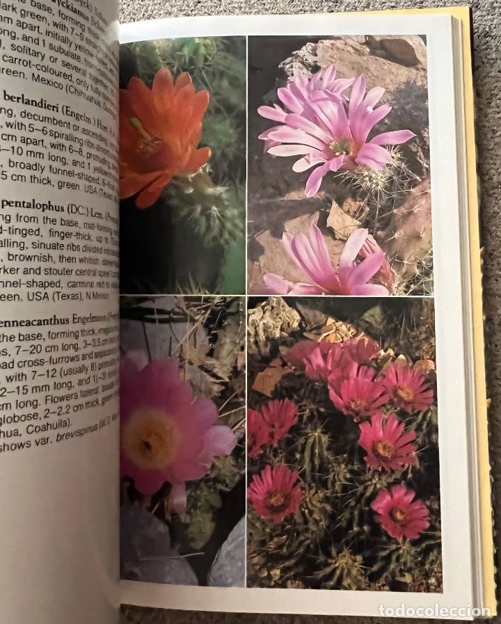 Libros de segunda mano: The Cactus Handbook - Erik Haustein - Foto 8