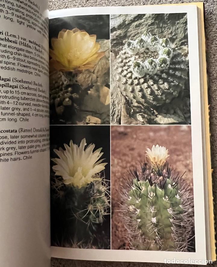 Libros de segunda mano: The Cactus Handbook - Erik Haustein - Foto 9