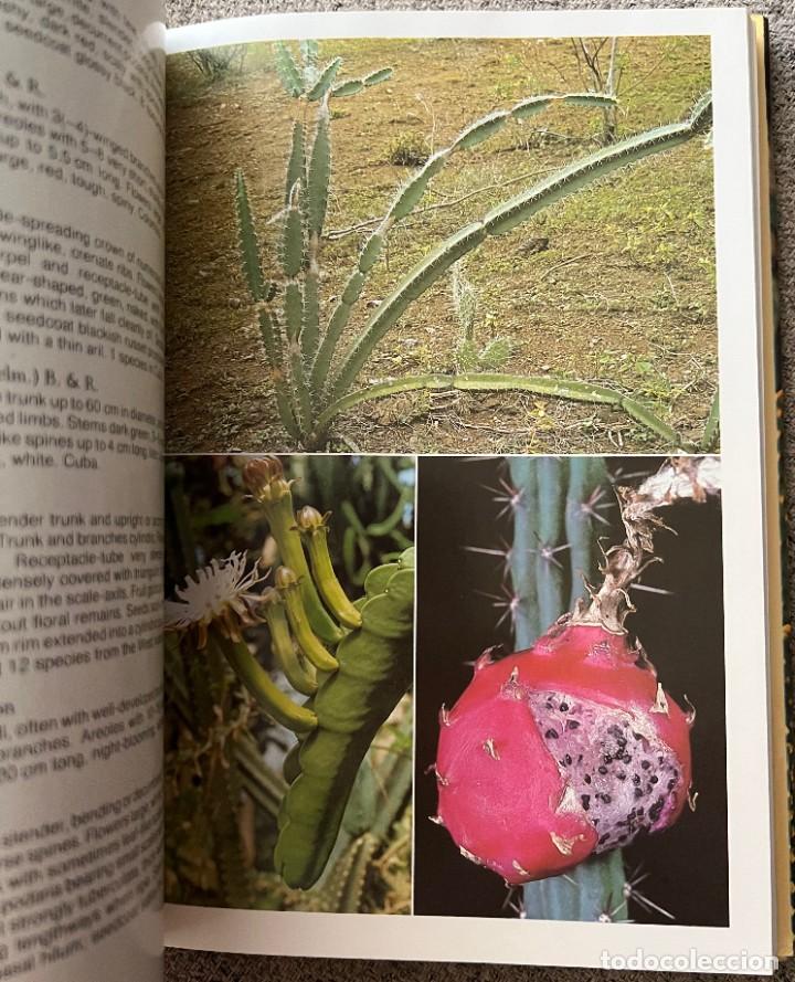 Libros de segunda mano: The Cactus Handbook - Erik Haustein - Foto 10