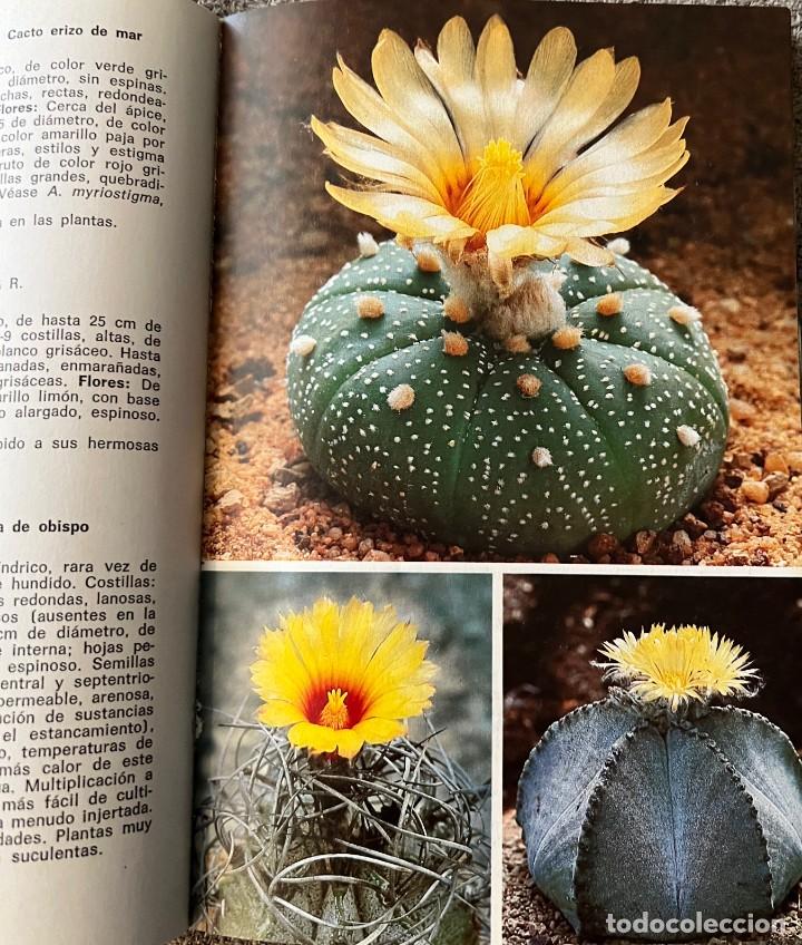Libros de segunda mano: Cactos y otras suculentas - Hans Hecht - Foto 4