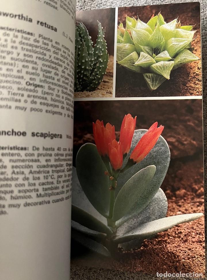 Libros de segunda mano: Cactos y otras suculentas - Hans Hecht - Foto 6