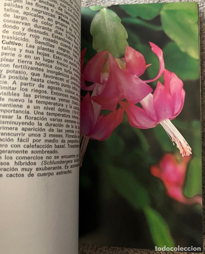 Libros de segunda mano: Cactos y otras suculentas - Hans Hecht - Foto 7