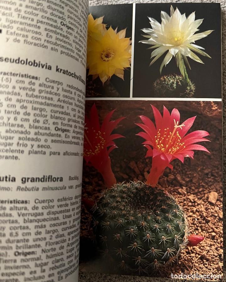 Libros de segunda mano: Cactos y otras suculentas - Hans Hecht - Foto 8