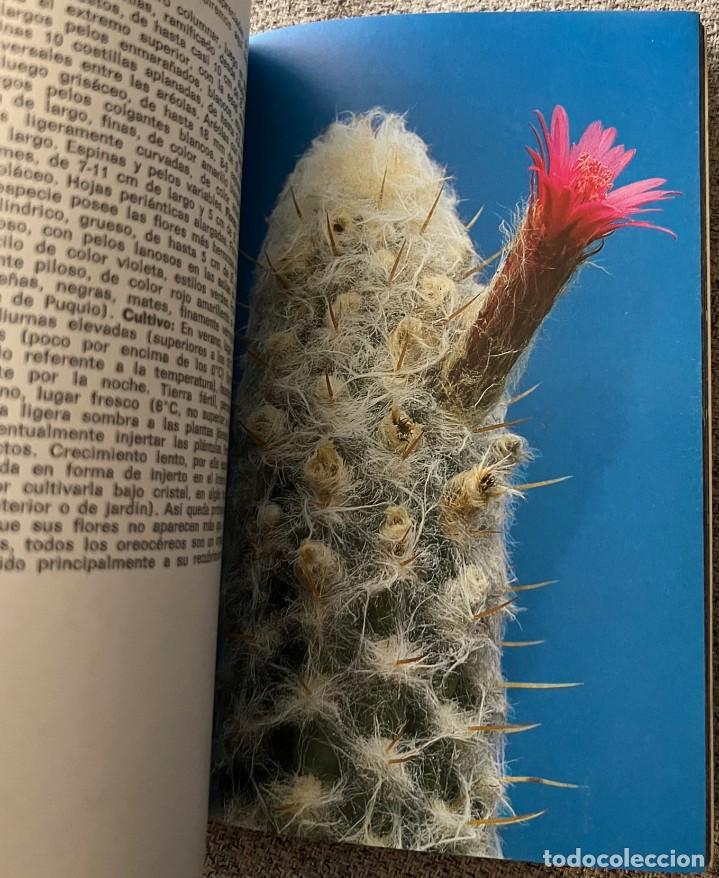 Libros de segunda mano: Cactos y otras suculentas - Hans Hecht - Foto 9