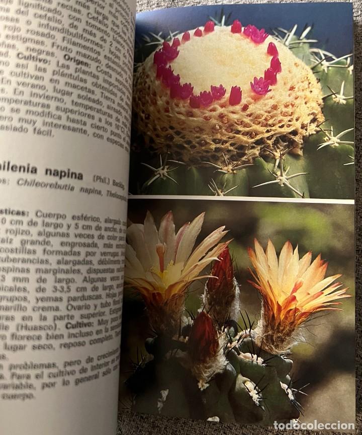 Libros de segunda mano: Cactos y otras suculentas - Hans Hecht - Foto 10