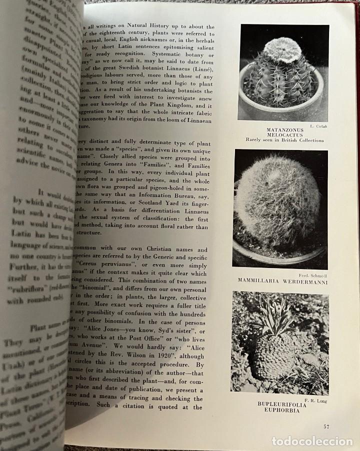 Libros de segunda mano: CACTUS and other SUCCULENT PLANTS - SECOND EDITION 1949 - Foto 6