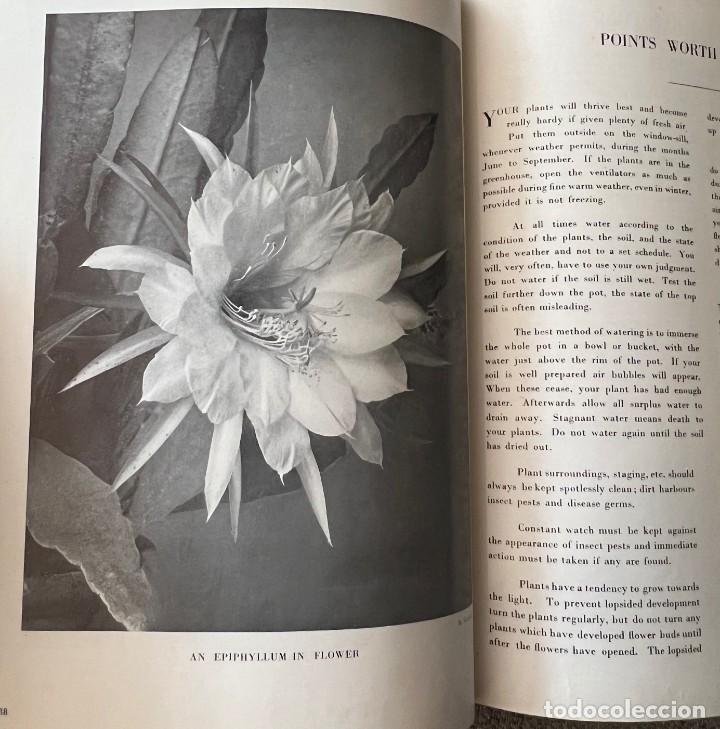 Libros de segunda mano: CACTUS and other SUCCULENT PLANTS - SECOND EDITION 1949 - Foto 7