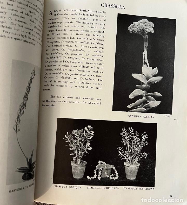 Libros de segunda mano: CACTUS and other SUCCULENT PLANTS - SECOND EDITION 1949 - Foto 8