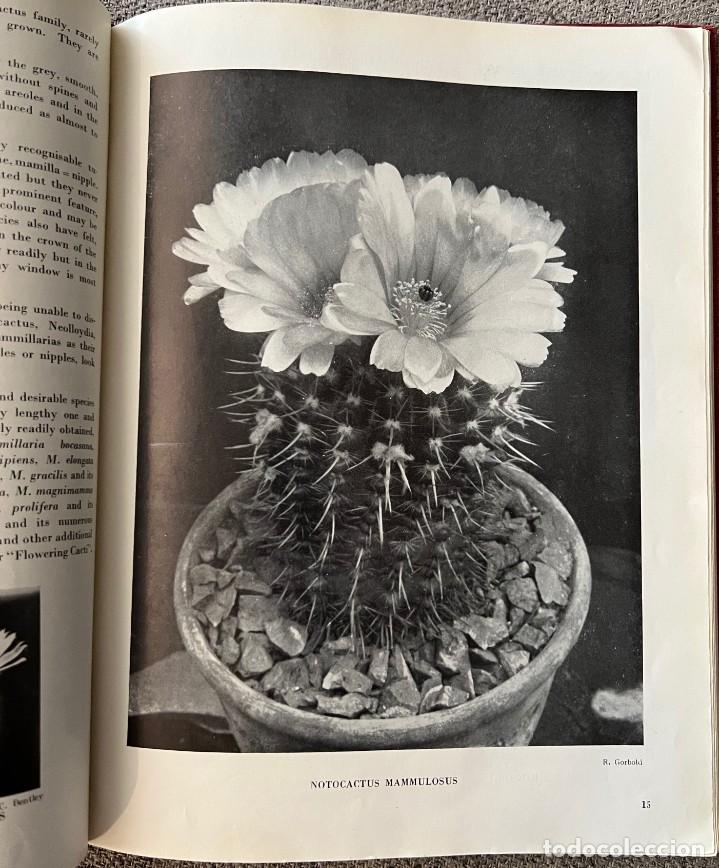 Libros de segunda mano: CACTUS and other SUCCULENT PLANTS - SECOND EDITION 1949 - Foto 10
