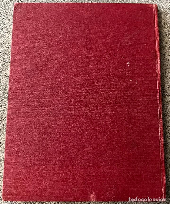 Libros de segunda mano: CACTUS and other SUCCULENT PLANTS - SECOND EDITION 1949 - Foto 11