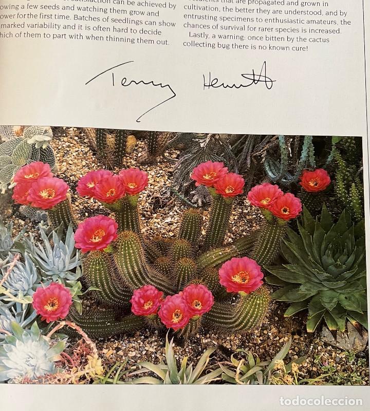 Libros de segunda mano: The complete book of Cacti & Succulents - Foto 6
