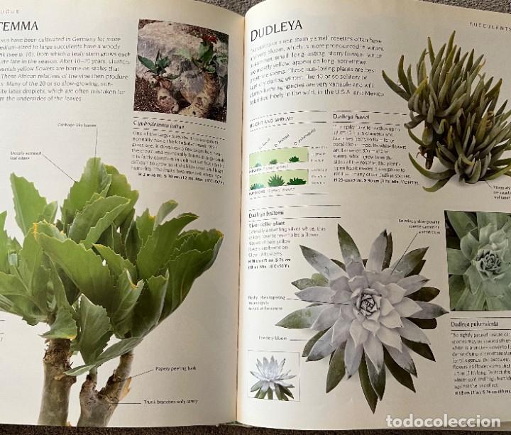 Libros de segunda mano: The complete book of Cacti & Succulents - Foto 8