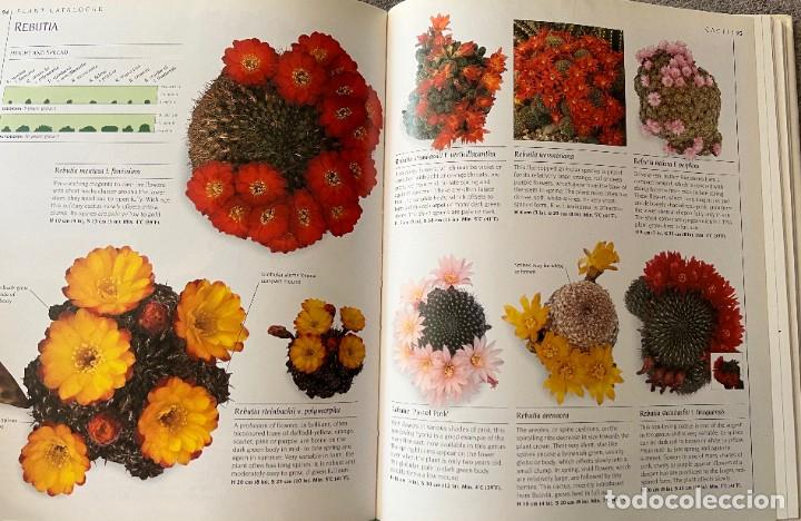 Libros de segunda mano: The complete book of Cacti & Succulents - Foto 9