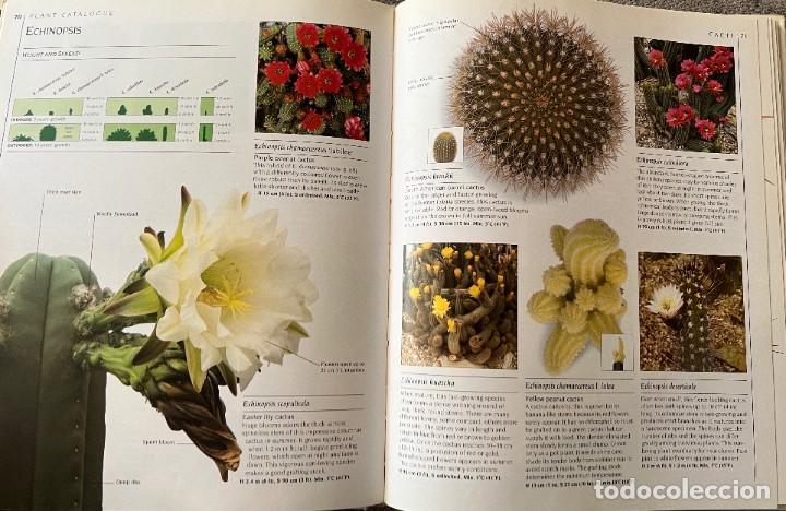 Libros de segunda mano: The complete book of Cacti & Succulents - Foto 10