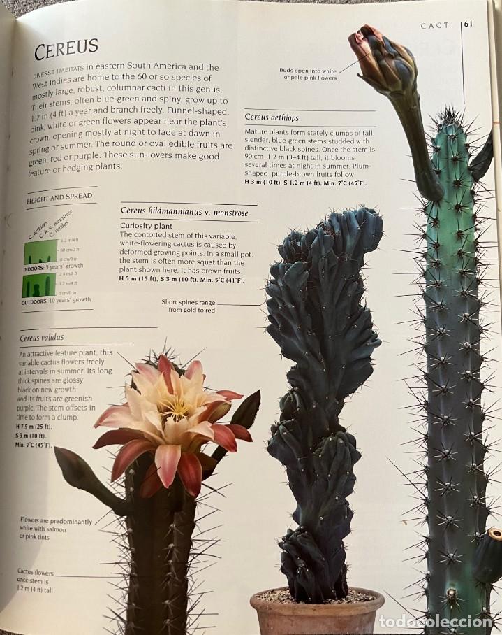 Libros de segunda mano: The complete book of Cacti & Succulents - Foto 11