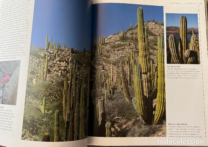 Libros de segunda mano: The complete book of Cacti & Succulents - Foto 14
