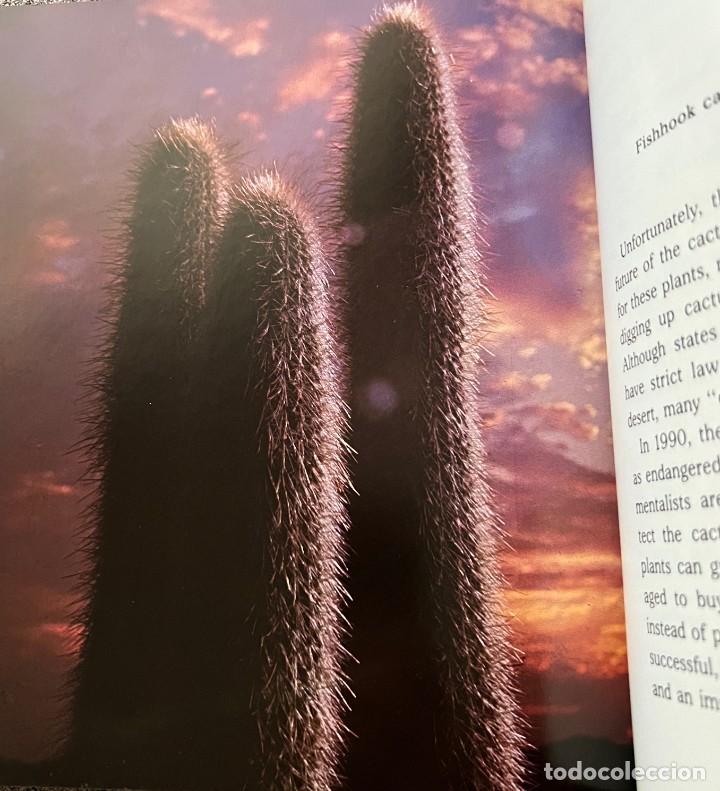 Libros de segunda mano: Cactus &middot; Cynthia Overbeck &middot; This edition first published 1982 - Foto 6