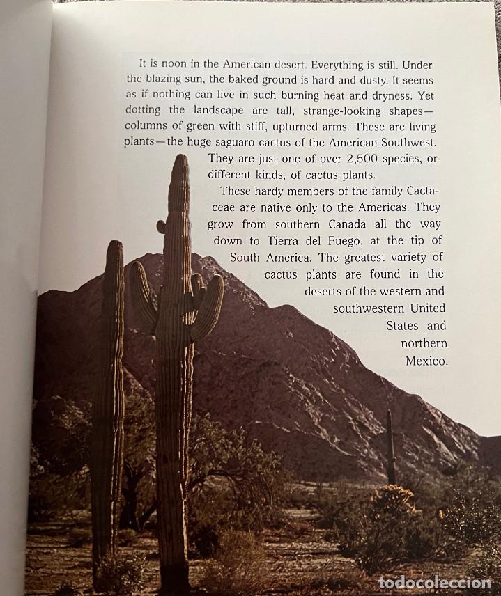 Libros de segunda mano: Cactus &middot; Cynthia Overbeck &middot; This edition first published 1982 - Foto 7
