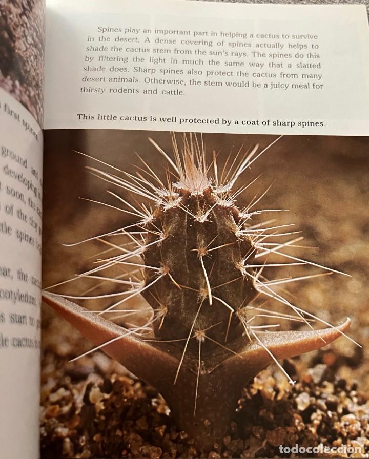 Libros de segunda mano: Cactus &middot; Cynthia Overbeck &middot; This edition first published 1982 - Foto 8