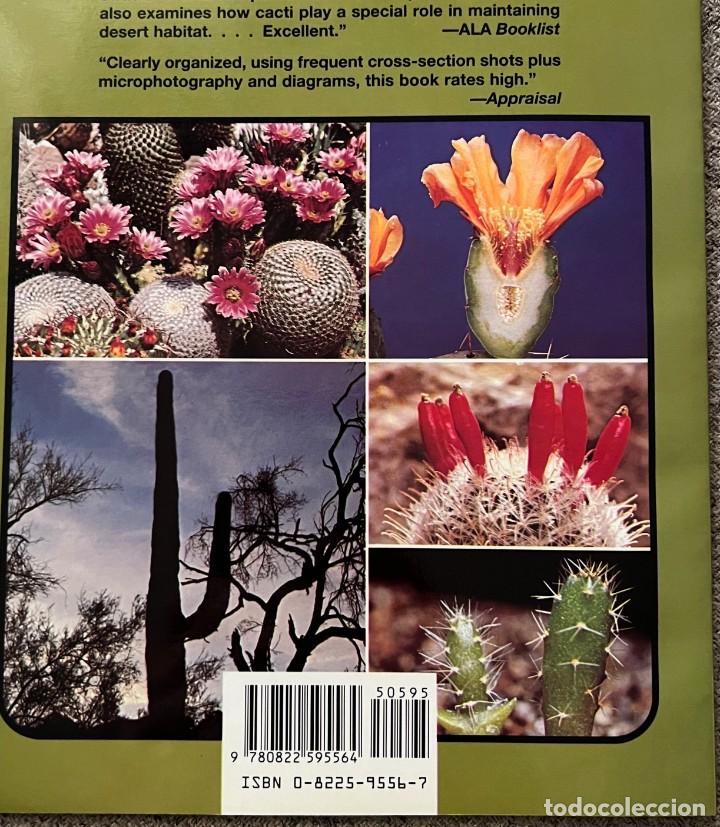 Libros de segunda mano: Cactus &middot; Cynthia Overbeck &middot; This edition first published 1982 - Foto 11