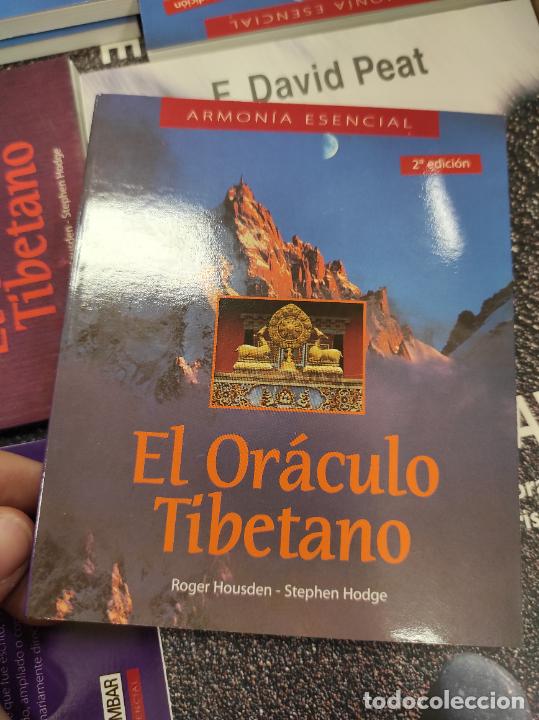 Libros de segunda mano: El or&aacute;culo tibetano - Roger Housden. Stephen Hodge - Foto 1
