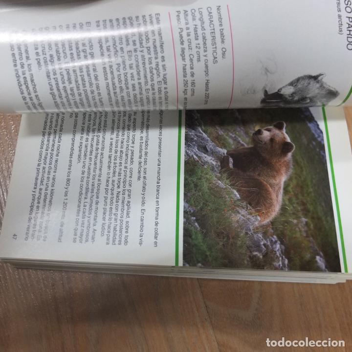 Libros de segunda mano: Mamiferos salvajes de Asturias / Ernesto Junco - Foto 2
